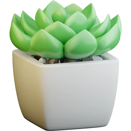 Desk Plant  3D Icon