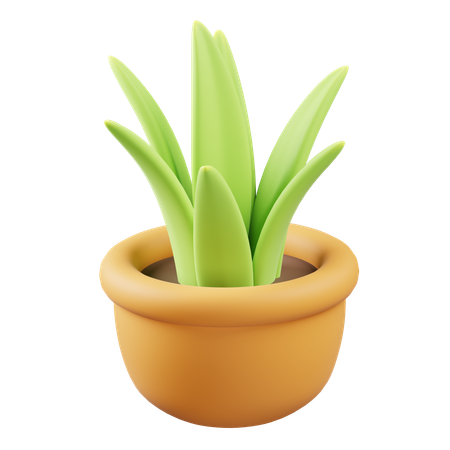 Desk Plant  3D Icon