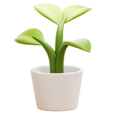 DESK PLANT  3D Icon