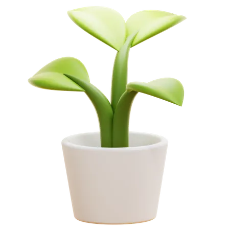 DESK PLANT  3D Icon