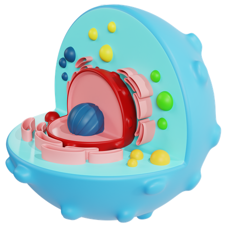 Detailed Animal Cell Model for Biology Education  3D Icon