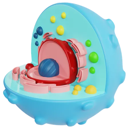 Detailed Animal Cell Model for Biology Education  3D Icon