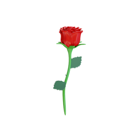 Rosa dos namorados  3D Icon