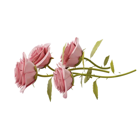 Rosa dos namorados  3D Illustration