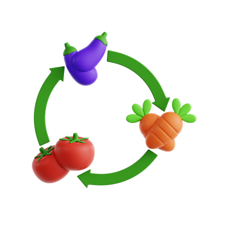 Diagrama de rotação de culturas  3D Icon