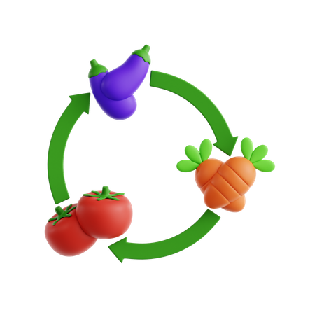 Diagrama de rotación de cultivos  3D Icon
