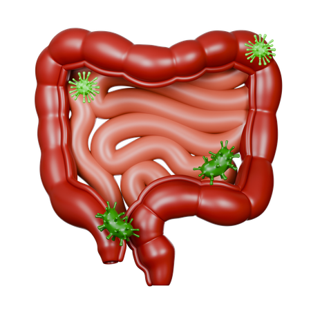 Dickdarmerkrankungen  3D Icon