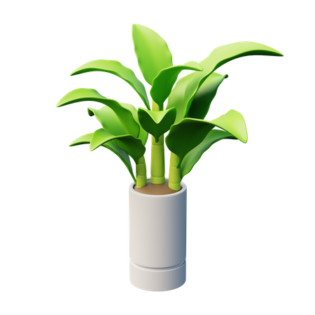 Dieffenbachia-Pflanze  3D Icon