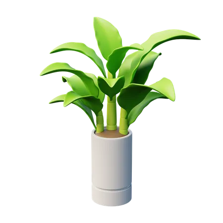 Dieffenbachia-Pflanze  3D Icon