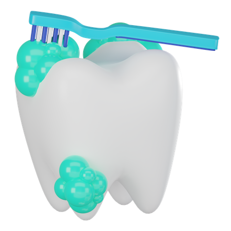 Gérmenes de los dientes  3D Icon