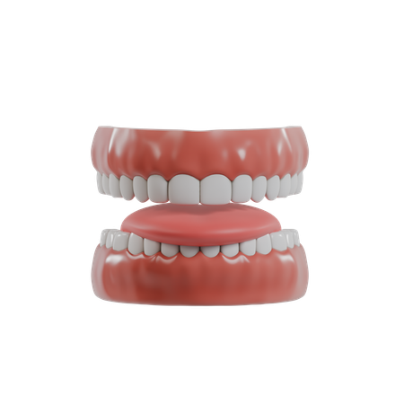 Dientes y lengua  3D Icon