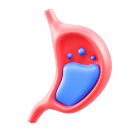 Digestion  3D Icon