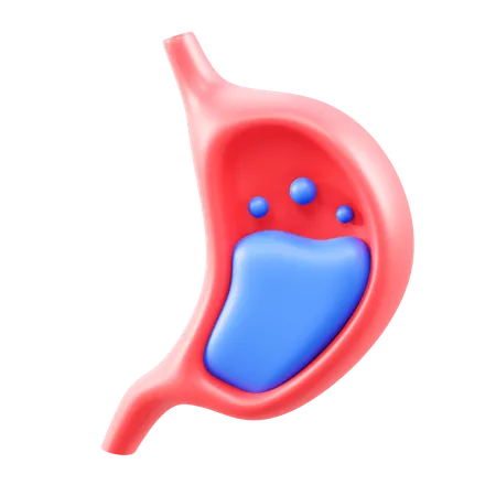Digestion  3D Icon