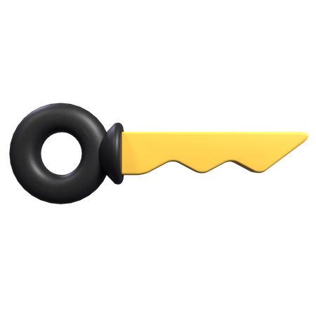 Digital Key  3D Icon