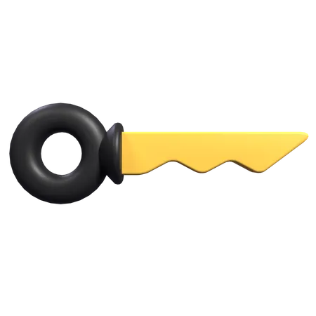 Digital Key  3D Icon