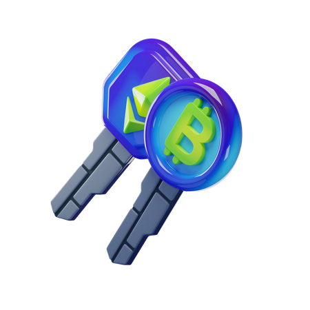 Digital key  3D Icon