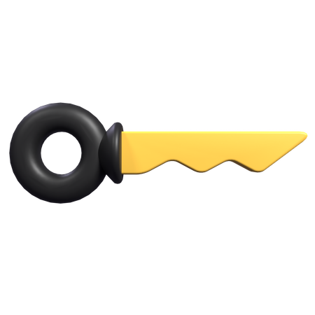 Digital Key 3D Icon