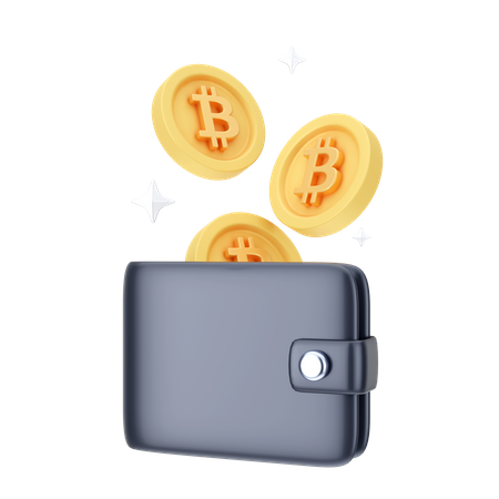 Digital Wallet  3D Icon