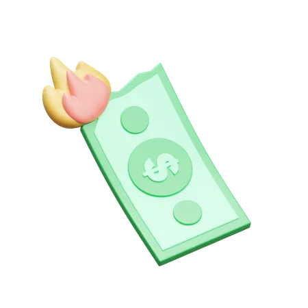 Dinero en llamas  3D Icon