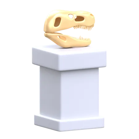 Dinosaur Skull 3 D Museum Icon 3D Icon