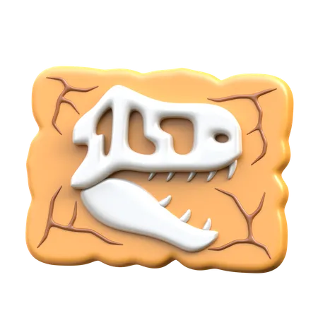 Dinosaur Skull 3 D Archeology Icon 3D Icon