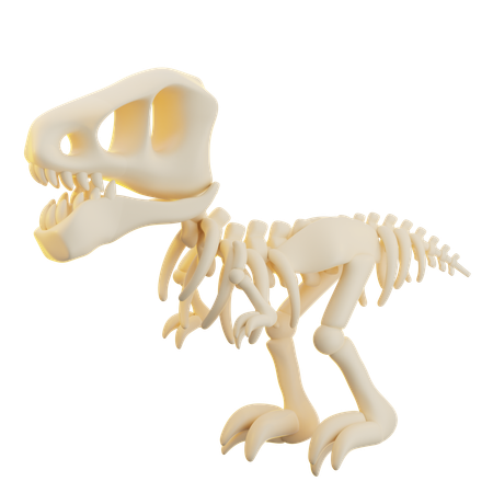 Dinosaurs Skull  3D Icon