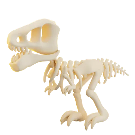 Dinosaurs Skull  3D Icon
