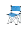 Director Chair