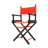 3d director chair logo