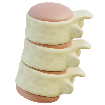 Discos intervertebrais  3D Icon