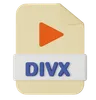 Divx File