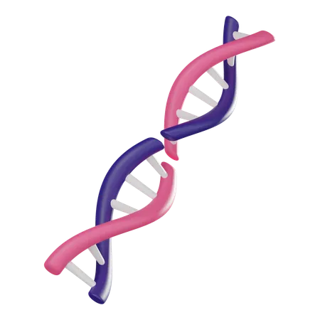 遺伝子  3D Icon