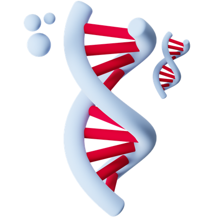 DNA  3D Icon