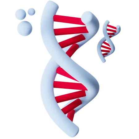 DNA  3D Icon