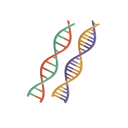 DNA  3D Icon