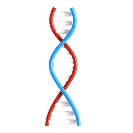 DNA  3D Icon