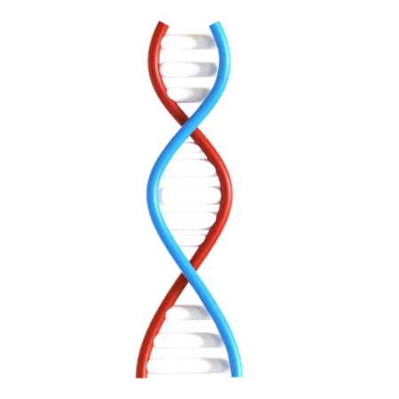 DNA  3D Icon