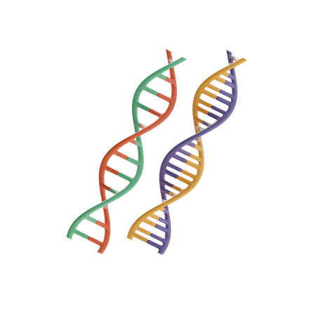 Dna  3D Icon
