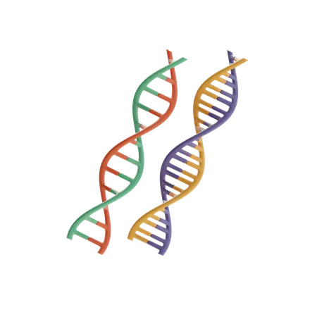 Dna  3D Icon