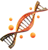 DNA