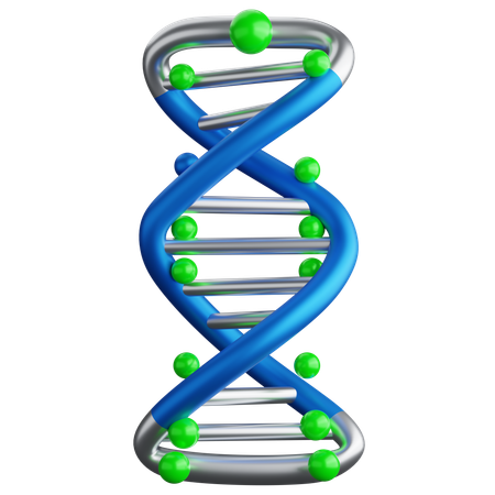 DNA  3D Icon