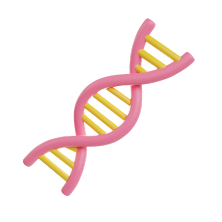 DNA  3D Icon