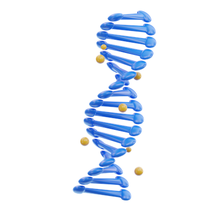 DNA  3D Icon