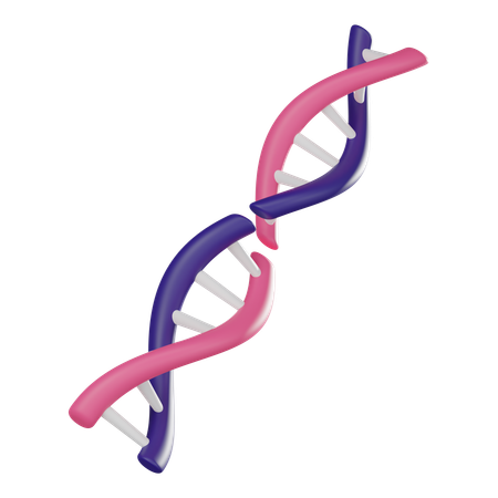 DNA  3D Icon