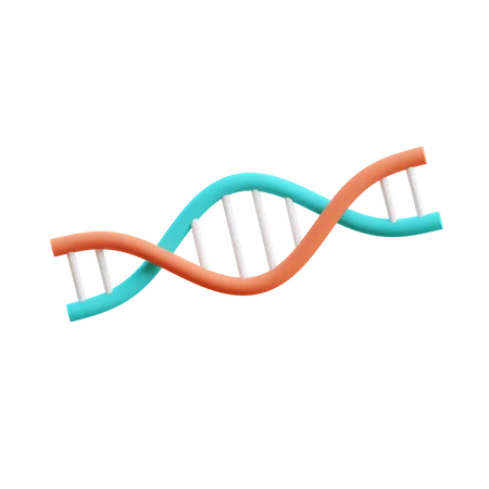 Dna  3D Illustration