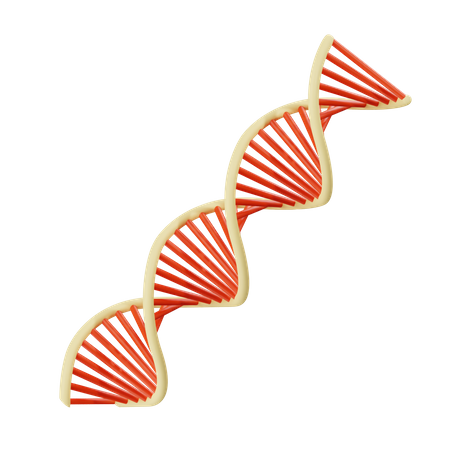 Dna  3D Illustration