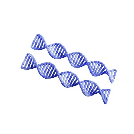 Dna  3D Illustration