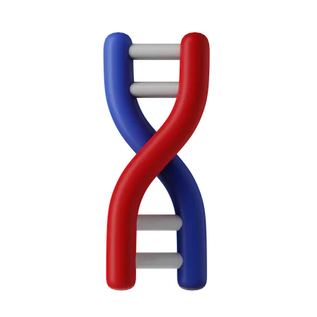 ADN  3D Illustration