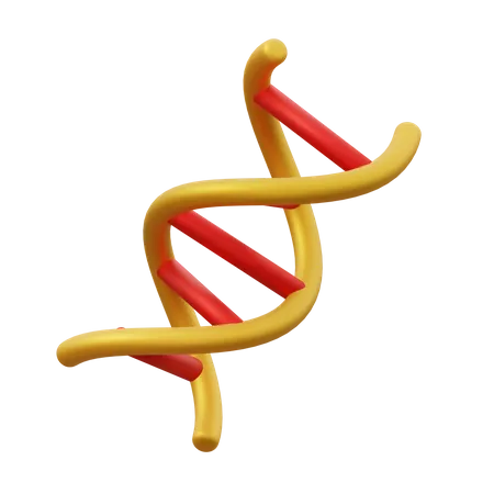 ADN  3D Icon