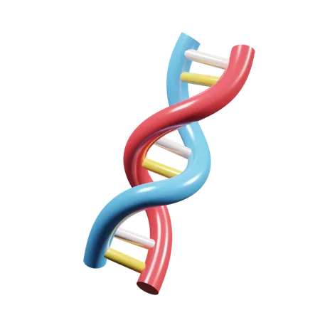 ADN  3D Icon